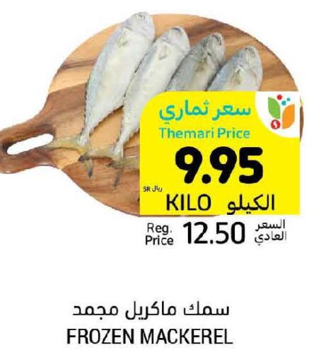 Tuna  in أسواق التميمي in مملكة العربية السعودية, السعودية, سعودية - الأحساء‎