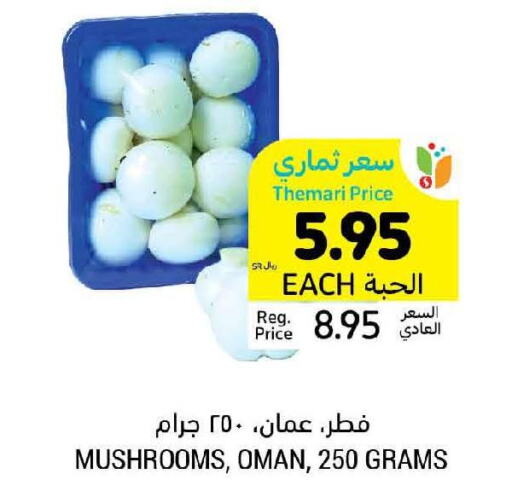  Mushroom  in Tamimi Market in KSA, Saudi Arabia, Saudi - Saihat