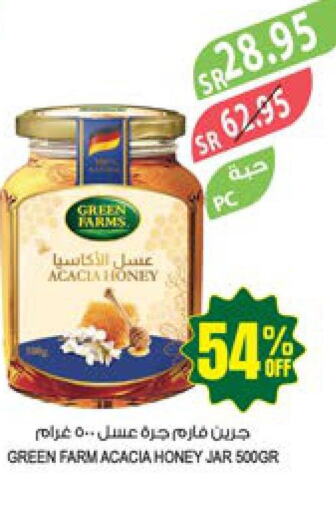  Honey  in Farm  in KSA, Saudi Arabia, Saudi - Arar