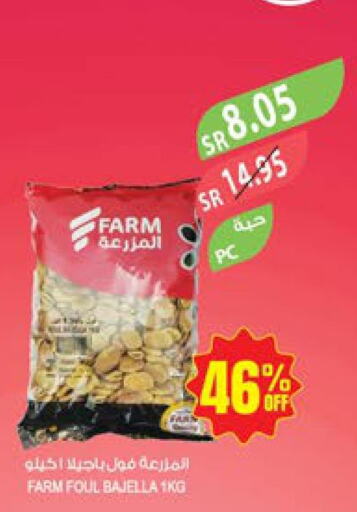  Fava Beans  in المزرعة in مملكة العربية السعودية, السعودية, سعودية - سكاكا