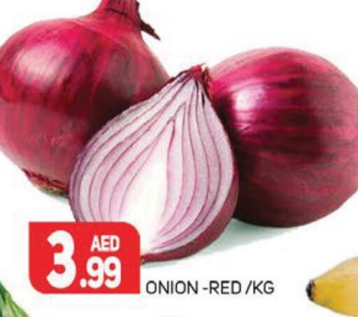  Onion  in Palm Centre LLC in UAE - Sharjah / Ajman