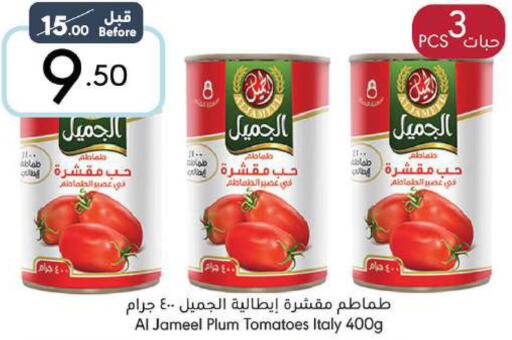 NADA Tomato Paste  in مانويل ماركت in مملكة العربية السعودية, السعودية, سعودية - جدة