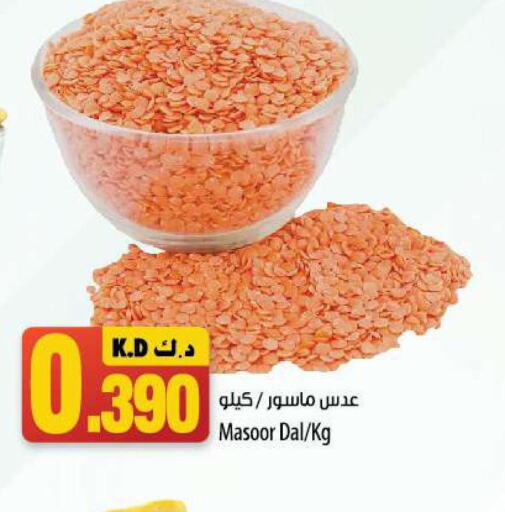 BAYARA   in Mango Hypermarket  in Kuwait - Kuwait City