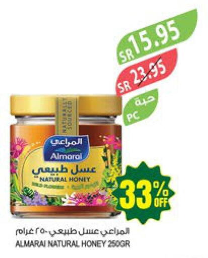 ALMARAI Honey  in Farm  in KSA, Saudi Arabia, Saudi - Saihat