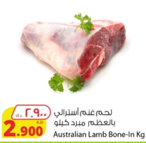  Mutton / Lamb  in شركة المنتجات الزراعية الغذائية in الكويت - محافظة الجهراء