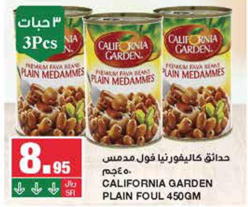 CALIFORNIA GARDEN Fava Beans  in سـبـار in مملكة العربية السعودية, السعودية, سعودية - الرياض