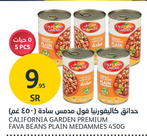 CALIFORNIA Fava Beans  in AlJazera Shopping Center in KSA, Saudi Arabia, Saudi - Riyadh