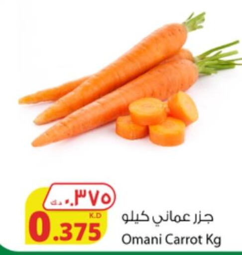  Carrot  in شركة المنتجات الزراعية الغذائية in الكويت - محافظة الجهراء