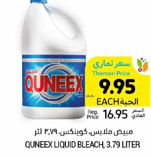 QUEENEX Bleach  in Tamimi Market in KSA, Saudi Arabia, Saudi - Al Khobar