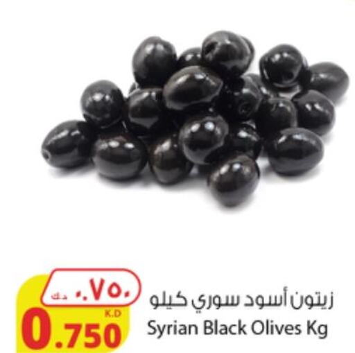  Olive Oil  in شركة المنتجات الزراعية الغذائية in الكويت - محافظة الأحمدي