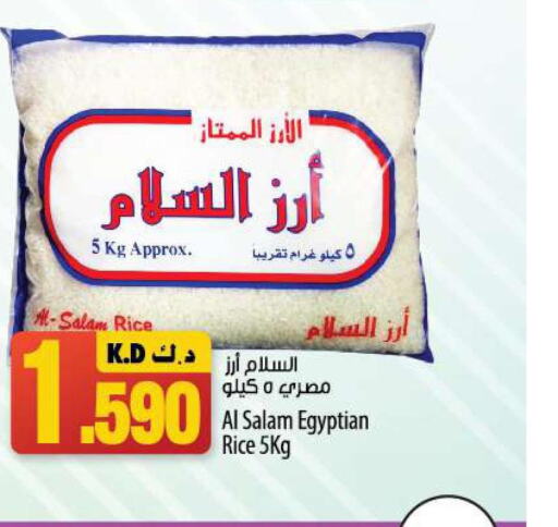  Egyptian / Calrose Rice  in مانجو هايبرماركت in الكويت - مدينة الكويت