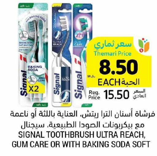 SIGNAL Toothbrush  in أسواق التميمي in مملكة العربية السعودية, السعودية, سعودية - جدة