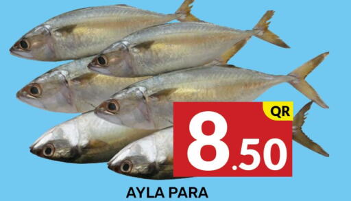  King Fish  in Majlis Hypermarket in Qatar - Doha