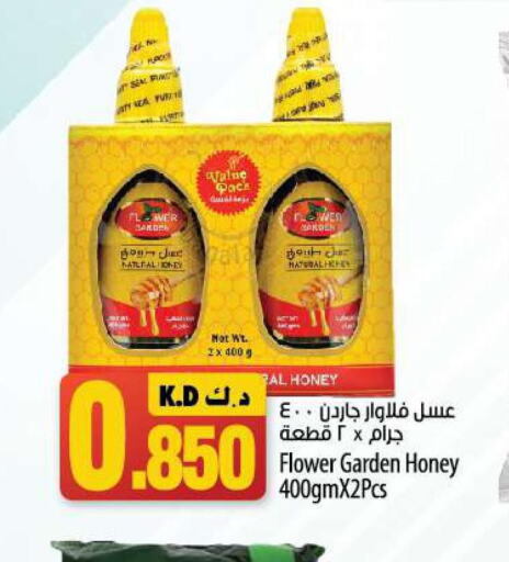  Honey  in Mango Hypermarket  in Kuwait - Kuwait City