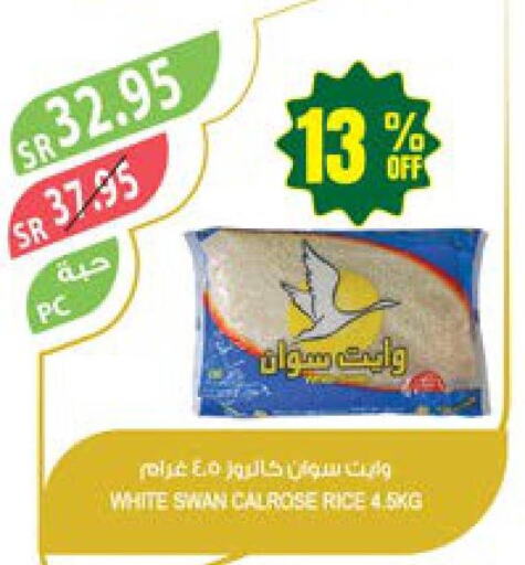 Egyptian / Calrose Rice  in Farm  in KSA, Saudi Arabia, Saudi - Al-Kharj