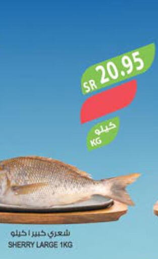  King Fish  in المزرعة in مملكة العربية السعودية, السعودية, سعودية - الخرج