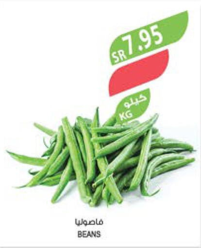  Beans  in المزرعة in مملكة العربية السعودية, السعودية, سعودية - سيهات