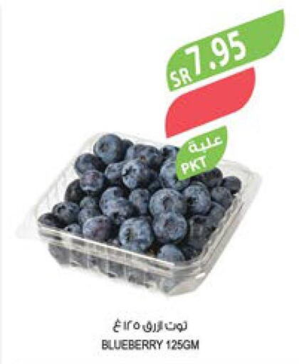  Berries  in المزرعة in مملكة العربية السعودية, السعودية, سعودية - الخرج