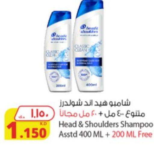HEAD & SHOULDERS Shampoo / Conditioner  in شركة المنتجات الزراعية الغذائية in الكويت - محافظة الأحمدي