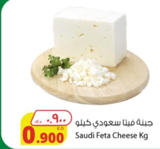  Feta  in شركة المنتجات الزراعية الغذائية in الكويت - محافظة الأحمدي