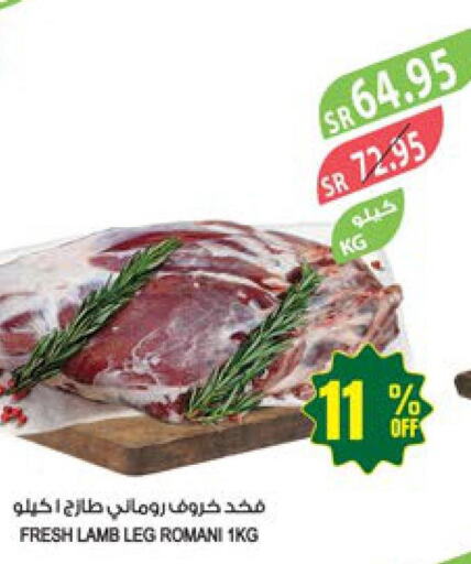  Mutton / Lamb  in Farm  in KSA, Saudi Arabia, Saudi - Jazan