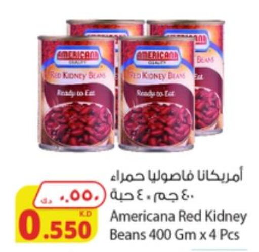 AMERICANA Red Beans - Canned  in شركة المنتجات الزراعية الغذائية in الكويت - محافظة الأحمدي