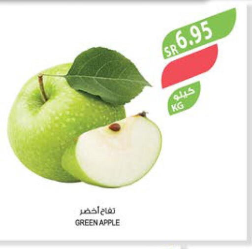  Apples  in Farm  in KSA, Saudi Arabia, Saudi - Yanbu