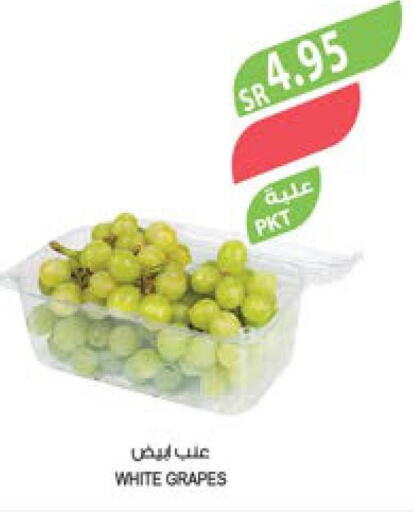  Grapes  in Farm  in KSA, Saudi Arabia, Saudi - Sakaka