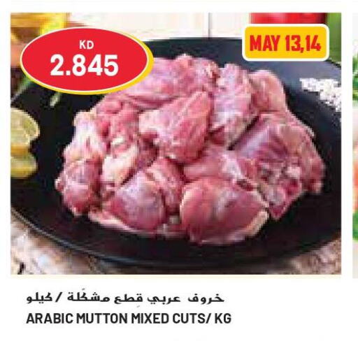  Mutton / Lamb  in Grand Costo in Kuwait - Kuwait City