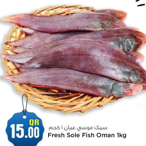  King Fish  in سفاري هايبر ماركت in قطر - أم صلال