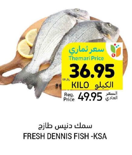  Tuna  in Tamimi Market in KSA, Saudi Arabia, Saudi - Al Hasa