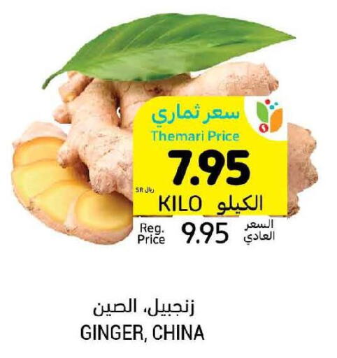  Ginger  in Tamimi Market in KSA, Saudi Arabia, Saudi - Saihat
