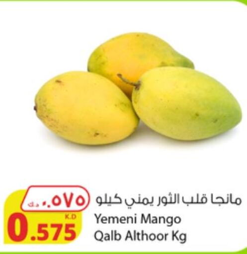 Mango   in شركة المنتجات الزراعية الغذائية in الكويت - محافظة الأحمدي