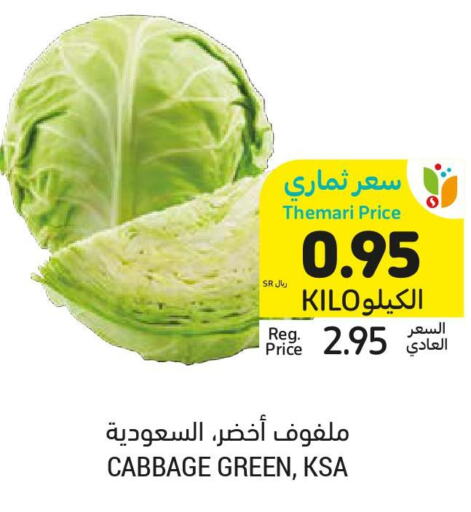  Cabbage  in أسواق التميمي in مملكة العربية السعودية, السعودية, سعودية - الرياض