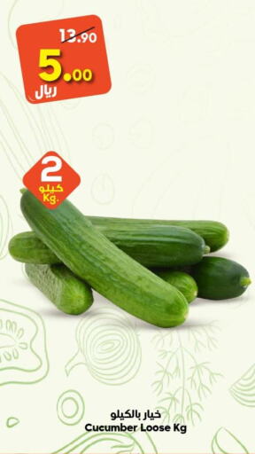  Cucumber  in الدكان in مملكة العربية السعودية, السعودية, سعودية - المدينة المنورة