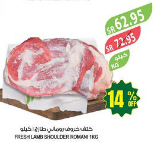  Mutton / Lamb  in Farm  in KSA, Saudi Arabia, Saudi - Jazan
