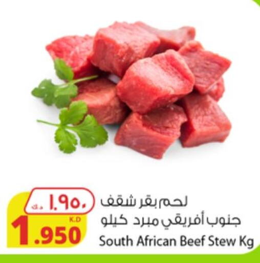  Beef  in شركة المنتجات الزراعية الغذائية in الكويت - محافظة الأحمدي