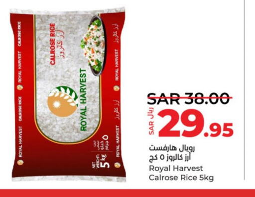  Egyptian / Calrose Rice  in لولو هايبرماركت in مملكة العربية السعودية, السعودية, سعودية - عنيزة