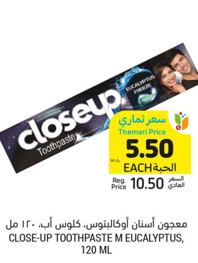 CLOSE UP Toothpaste  in Tamimi Market in KSA, Saudi Arabia, Saudi - Riyadh