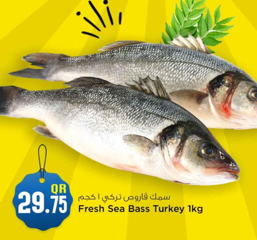  King Fish  in Safari Hypermarket in Qatar - Al Wakra