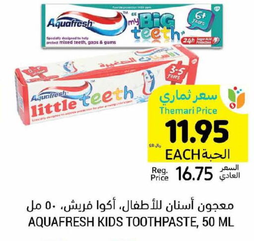 AQUAFRESH Toothpaste  in Tamimi Market in KSA, Saudi Arabia, Saudi - Riyadh