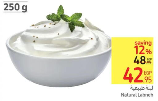  Labneh  in Carrefour  in Egypt - Cairo