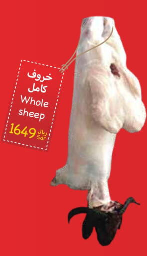  Mutton / Lamb  in واحة المستهلك in مملكة العربية السعودية, السعودية, سعودية - الخبر‎