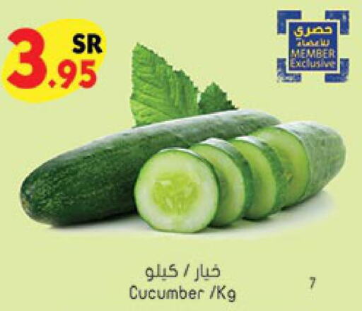  Cucumber  in Bin Dawood in KSA, Saudi Arabia, Saudi - Khamis Mushait