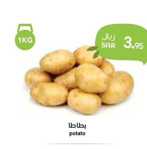  Potato  in واحة المستهلك in مملكة العربية السعودية, السعودية, سعودية - الخبر‎