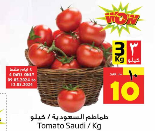  Tomato  in ليان هايبر in مملكة العربية السعودية, السعودية, سعودية - المنطقة الشرقية