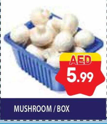  Mushroom  in Home Fresh Supermarket in UAE - Abu Dhabi
