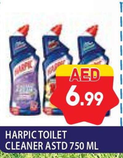 HARPIC Toilet / Drain Cleaner  in سوبرماركت هوم فريش ذ.م.م in الإمارات العربية المتحدة , الامارات - أبو ظبي