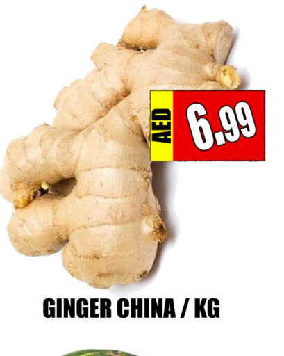  Ginger  in Majestic Plus Hypermarket in UAE - Abu Dhabi