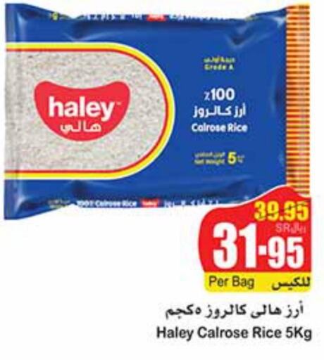HALEY Egyptian / Calrose Rice  in Othaim Markets in KSA, Saudi Arabia, Saudi - Ar Rass